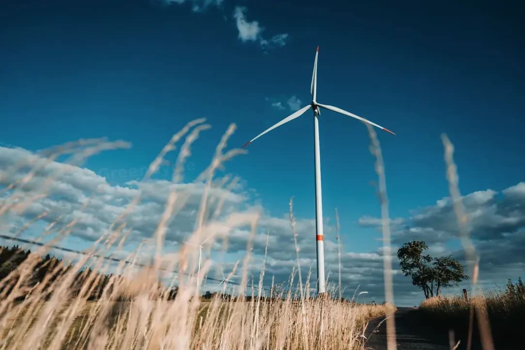 Why Employee Engagement Matters in Sustainability Initiatives
